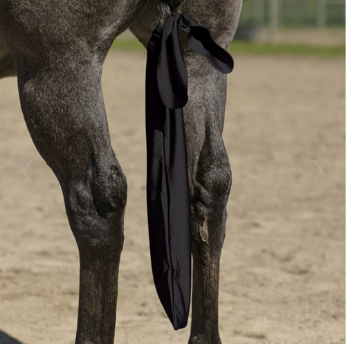 حامي شعر ذيل الخيل 