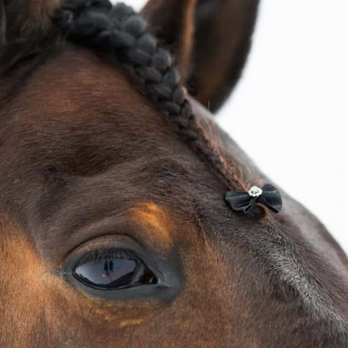 ربطات لشعر الخيل