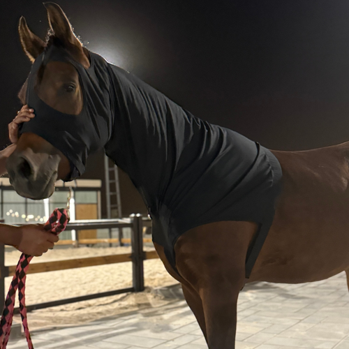 غطاء حماية لشعر الخيل