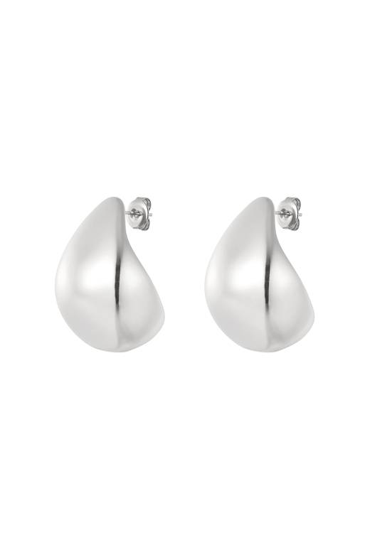 SHINY DROP EARRINGS - Silver