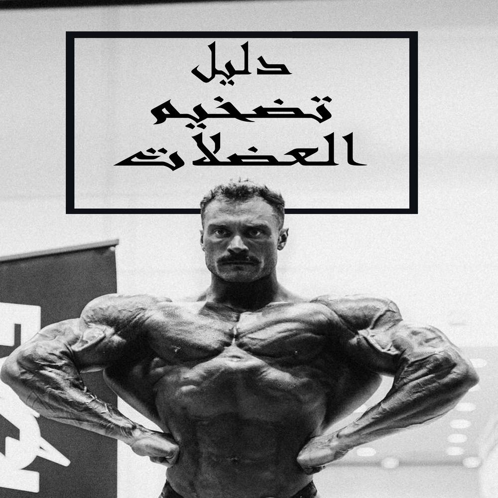 جدول عضلاتك المتكامل