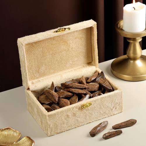 مروكي محسن