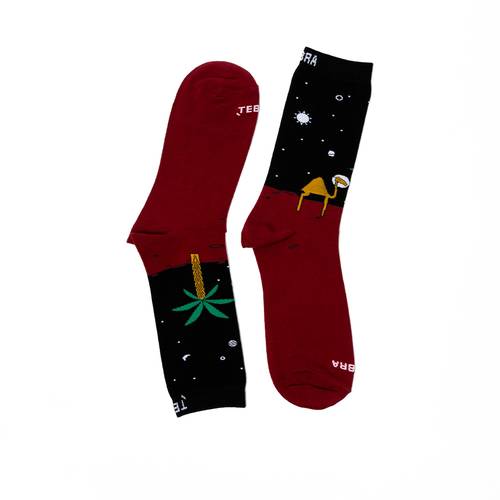 Camel In Space Long Socks