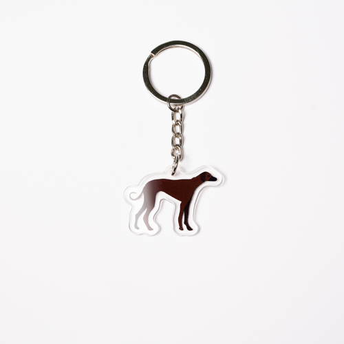 Sology Keychain