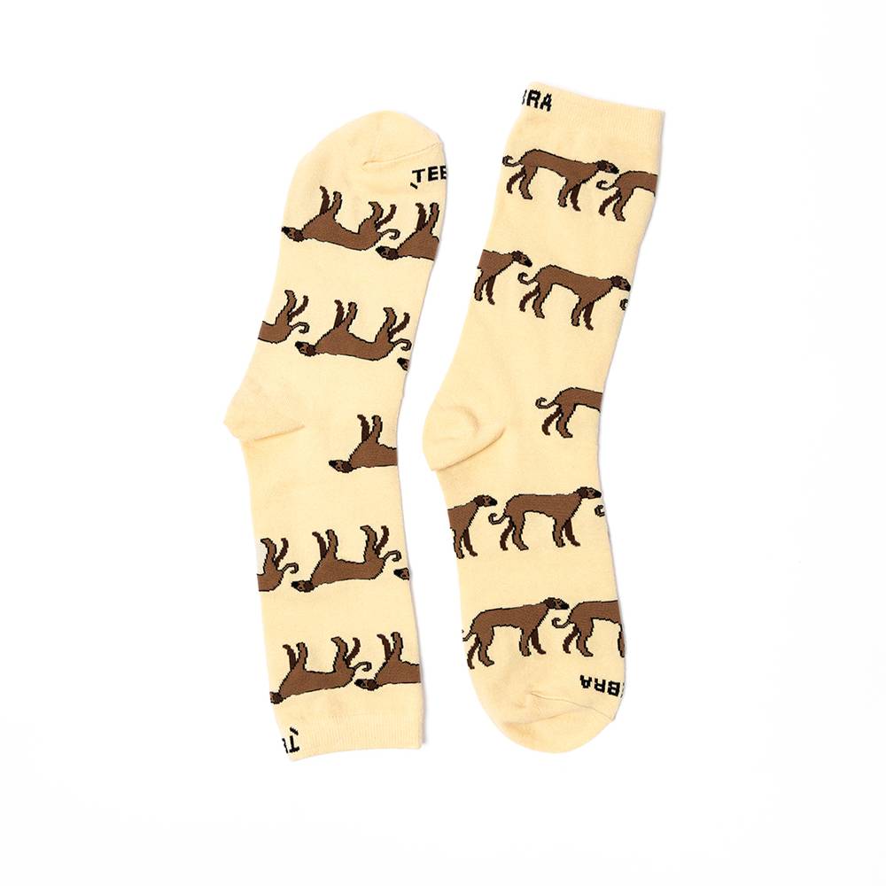 Soloogy pattern Socks