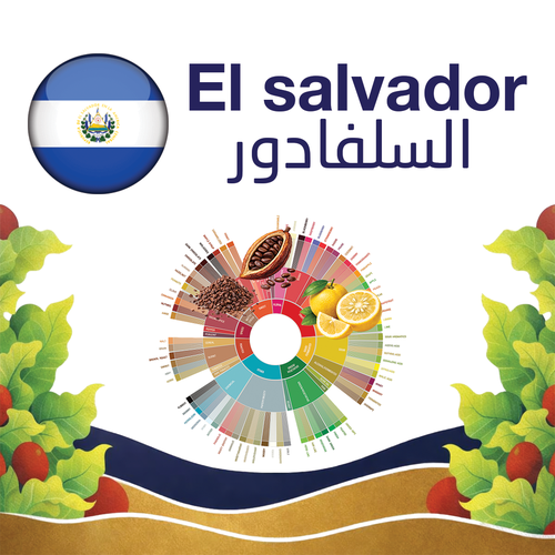 El Salvador Coffee Beans  1KG