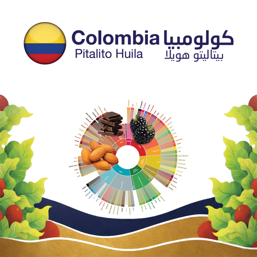  COLOMBIA PITALITO HUILA 1KG