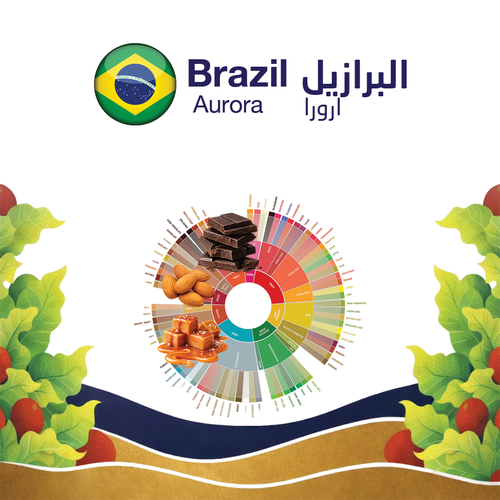 BRAZIL Aurora 1kg