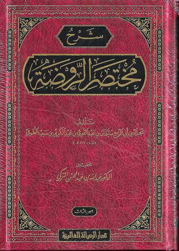شرح مختصر الروضة 1-3