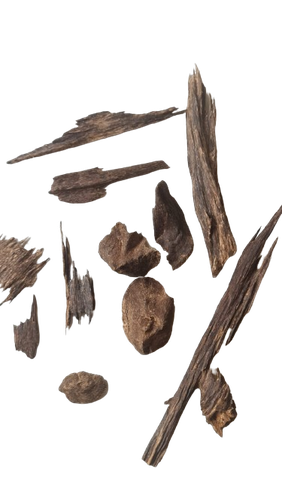 عود ماليزي دبل سوبر