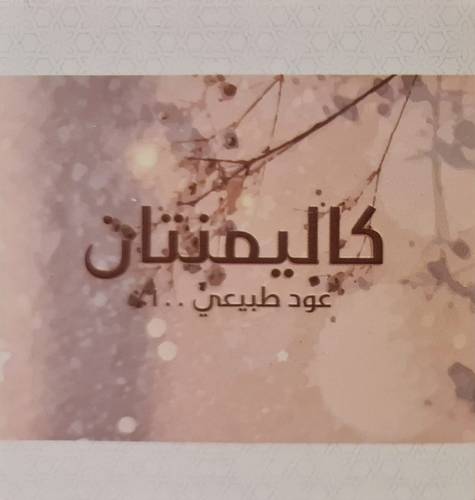 كاليمنتان بونتيانا