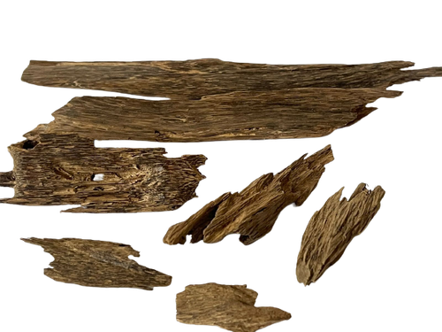 عود بروناي (سوبر)