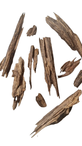 عود ماليزي سوبر