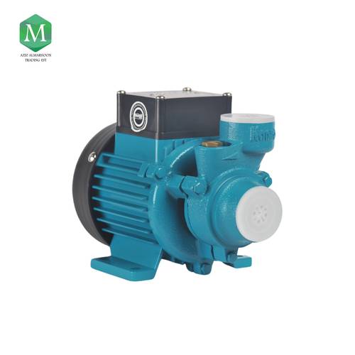 1/4 HP Chinese Water Pump