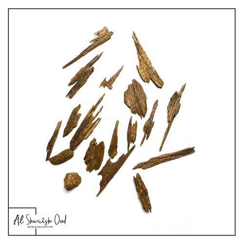كلمنتان بونتيانك
