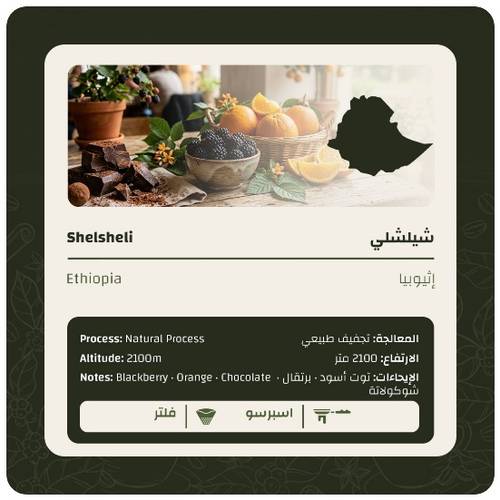 شيلشلي
