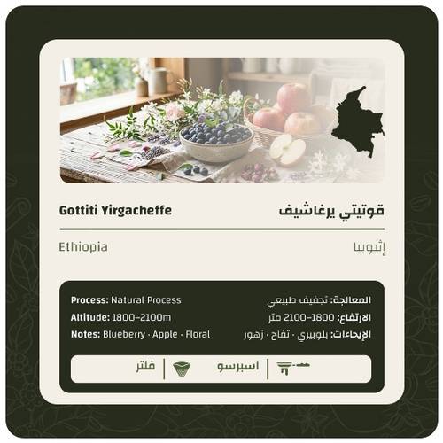 قوتيتي يرغاشيف