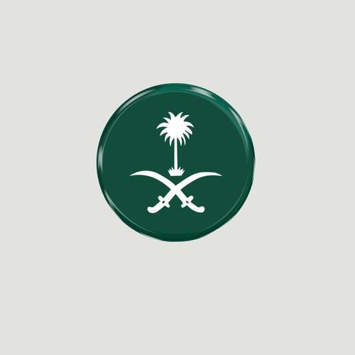 ستيكر ثري دي ( سيفين ونخله أخضر )