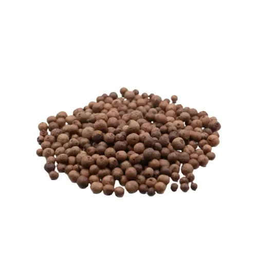 بهار حلو حب