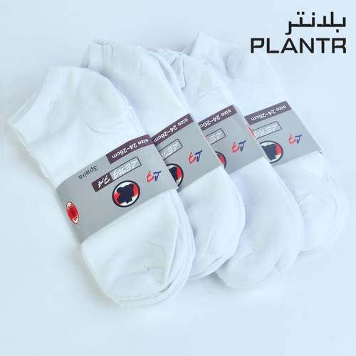 شراب قصير ابيض (درزن)