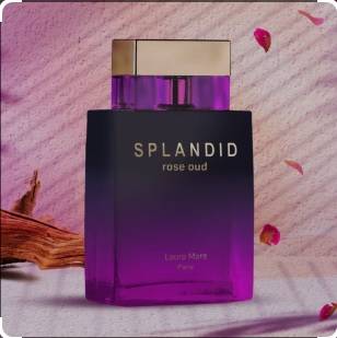 عطر اسبلندد روز عود 100م