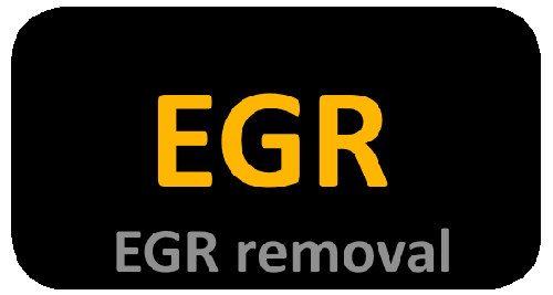 EGR remap remover 