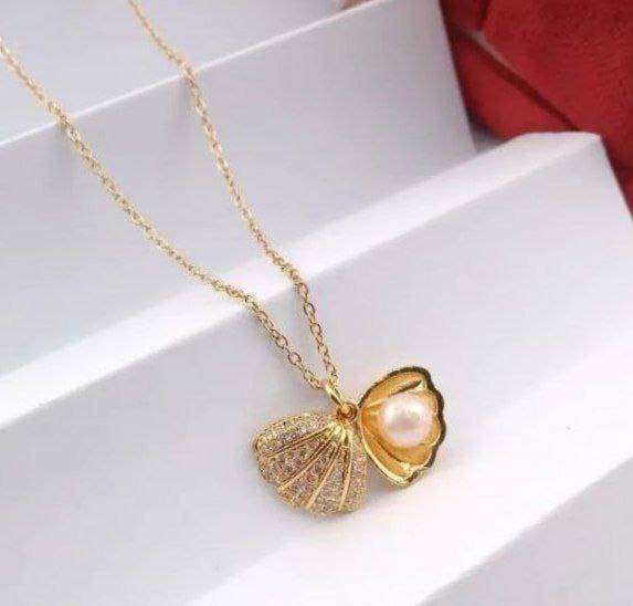 Seashell necklace ✨
