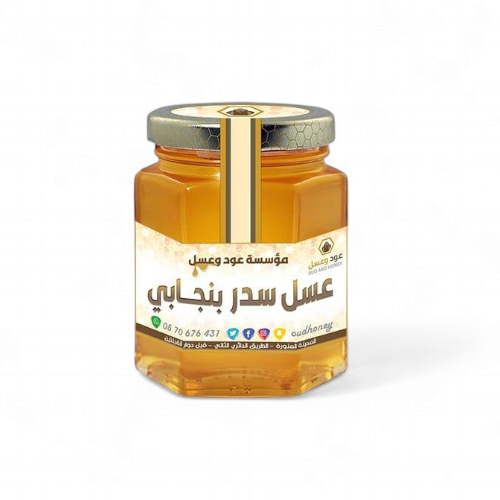 عسل سدر بنجابي طبيعي فاخر