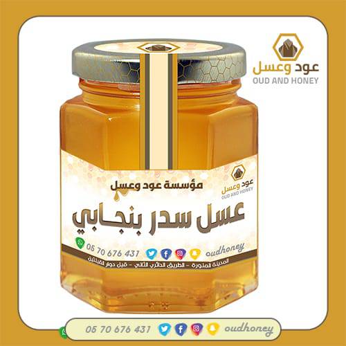 عسل سدر بنجابي طبيعي فاخر