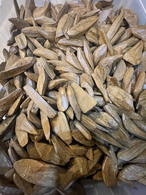 الاسطورة عود مروكي طبيعي محسن بيور 