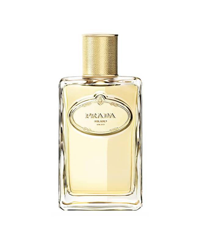 عطر برادا انفيوجن ديريس ابسولو او دو بارفيوم للنساء - 50مل