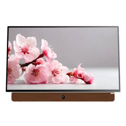 شاشة تلفزيون سمارت متنقلة سكاي وورث 24 بوصة   Google TV