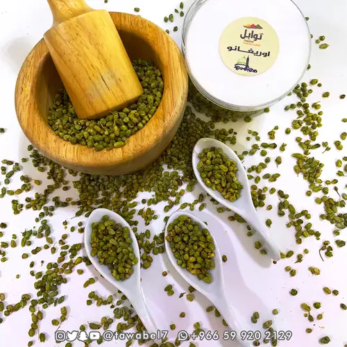 اوريجانو طبيعي - بهارات اوريغانو
