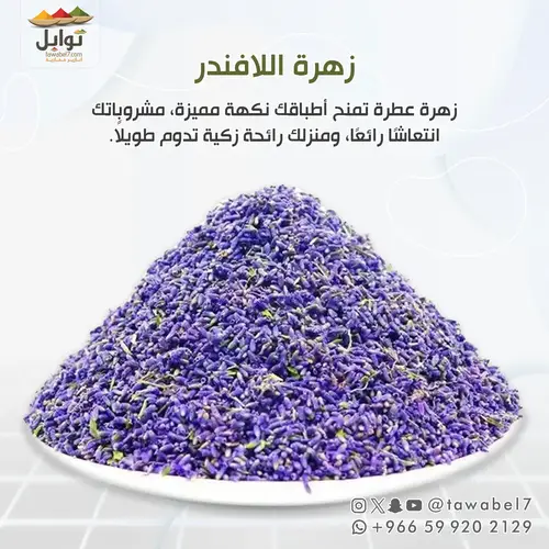 زهرة اللافندر | مستورد جديد