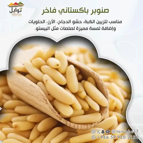 صنوبر باكستاني فاخر - مكسرات طبيعية وحبوب غنية