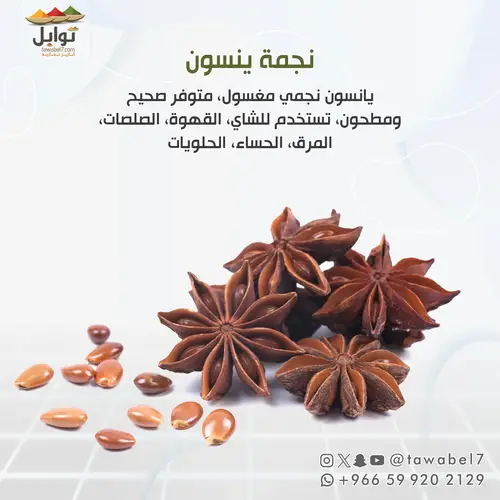 نجمة ينسون - يانسون نجمي مغسول