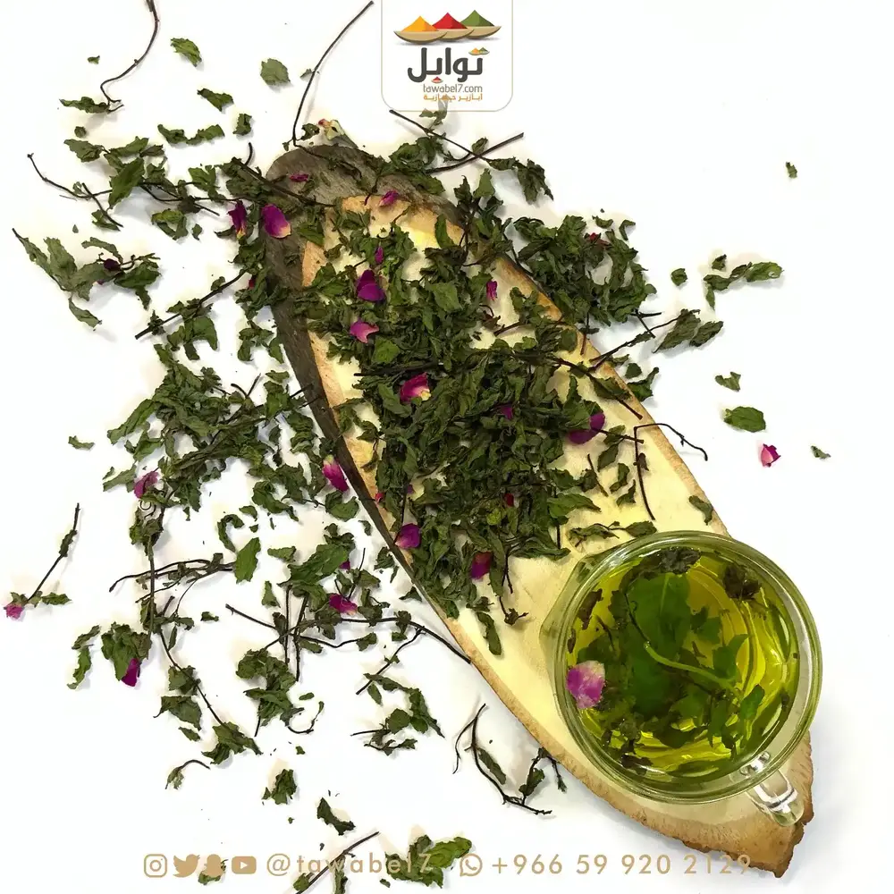 نعناع المدينة