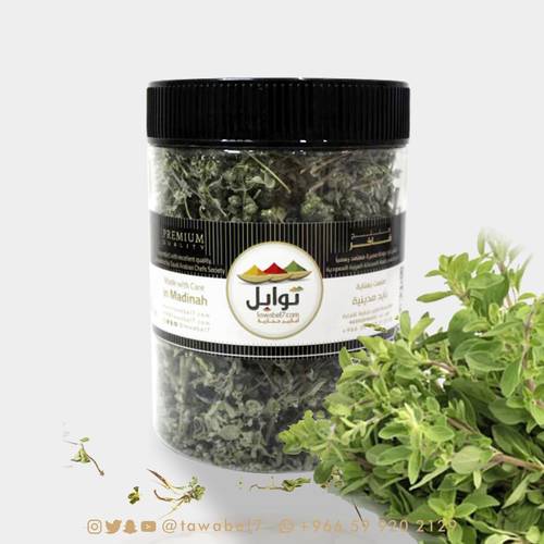دوش المدينة