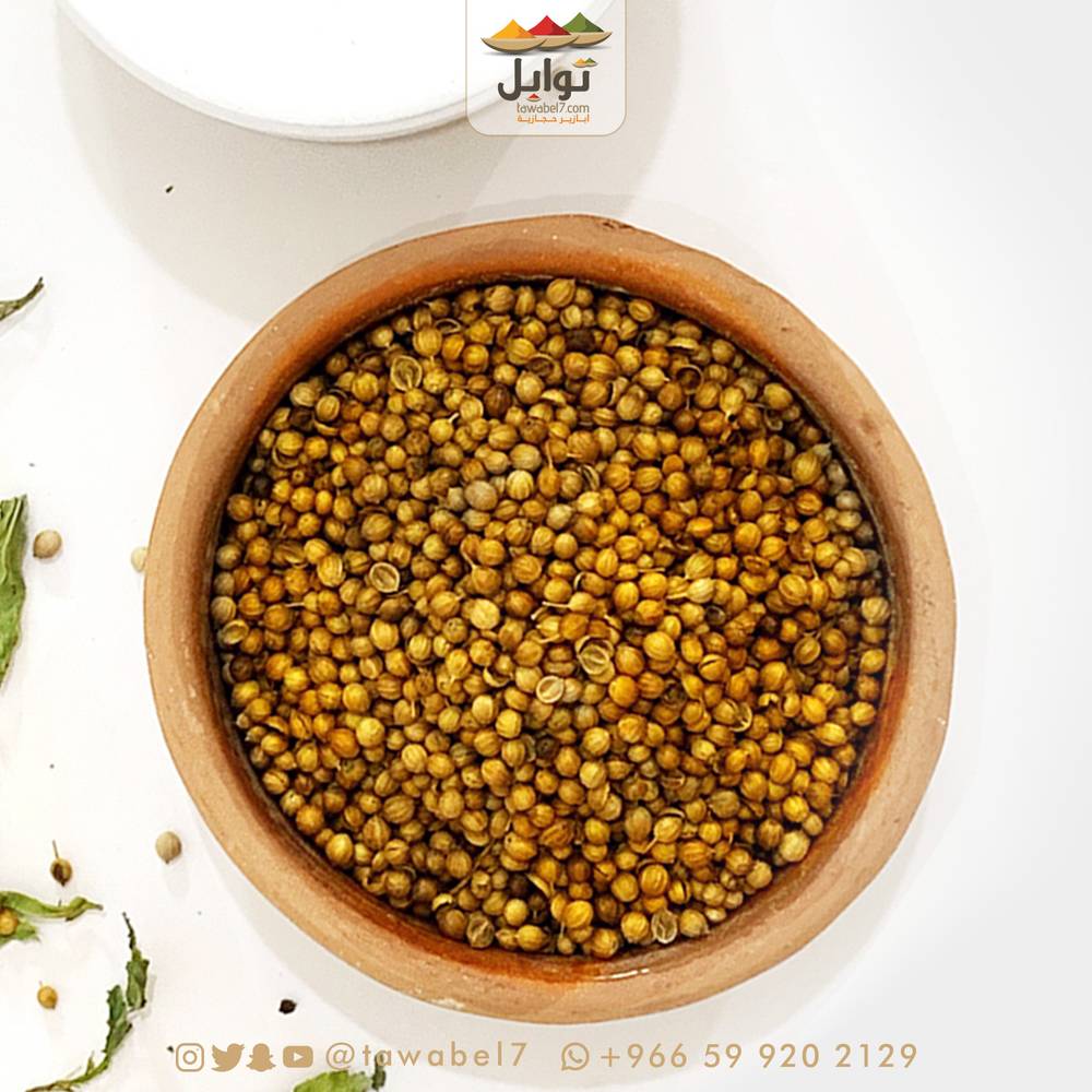 كزبرة | توابل