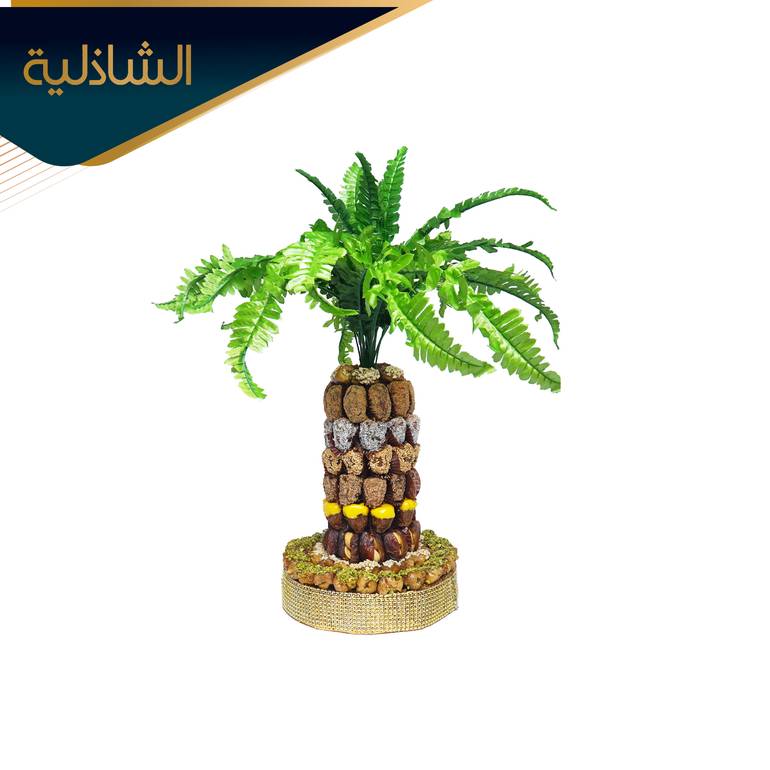 نخلة صغيرة(داخل الرياض)