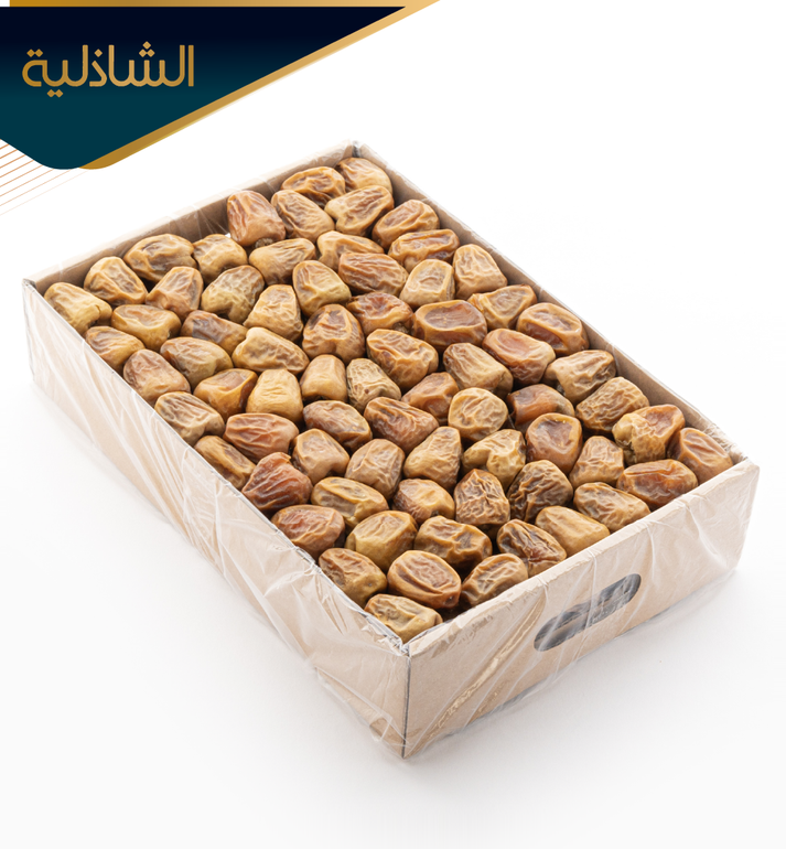سكري القصيم مفتل فاخر