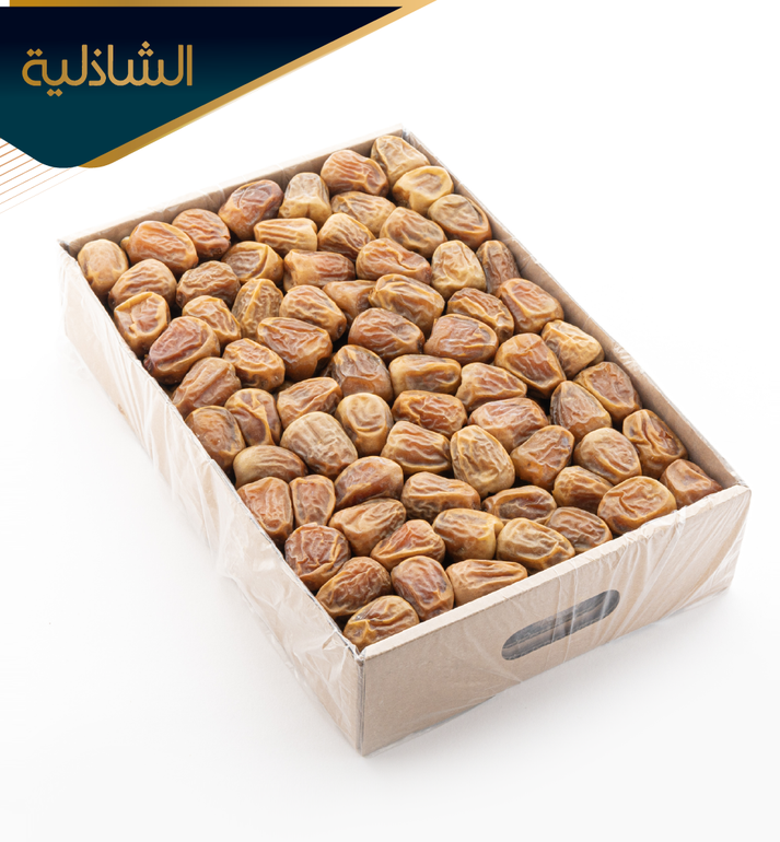 سكري القصيم مفتل ملكي