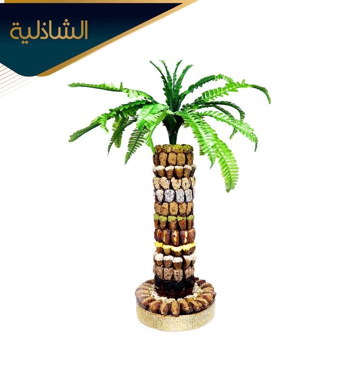 نخلة كبيرة(داخل الرياض)
