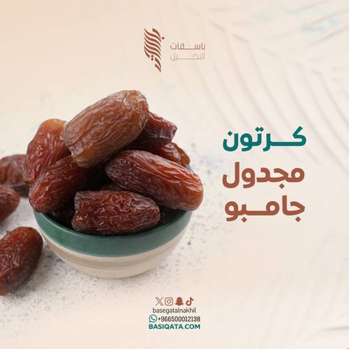مجدول جامبو