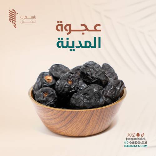 عجوة  المدينة