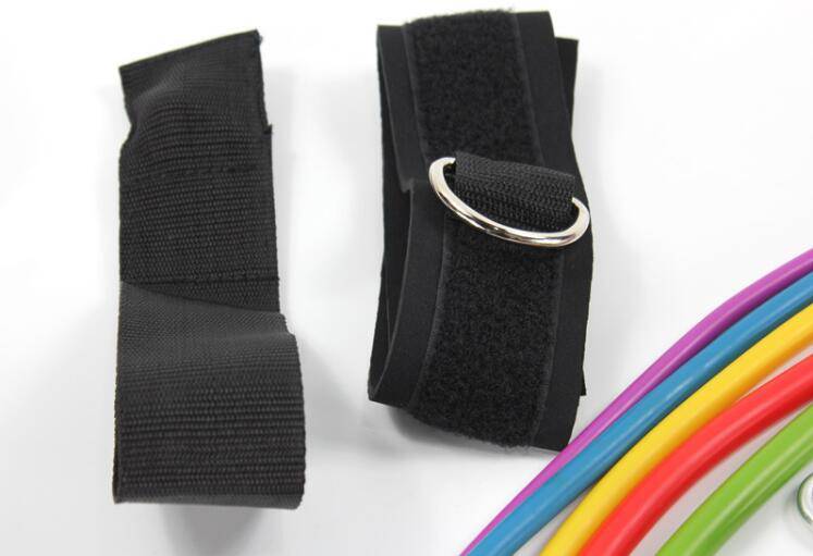 Resistance Bands Set of 5 with Accessory Kit