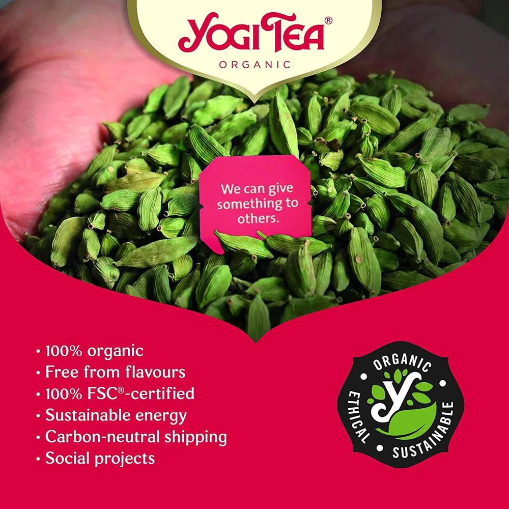 Yogi Tea - Organic Tea (17 Bags)