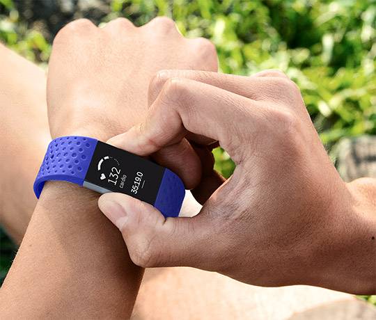 Replacement Band for Fitbit Charge-2, Sport Type (made by Fitbit)
