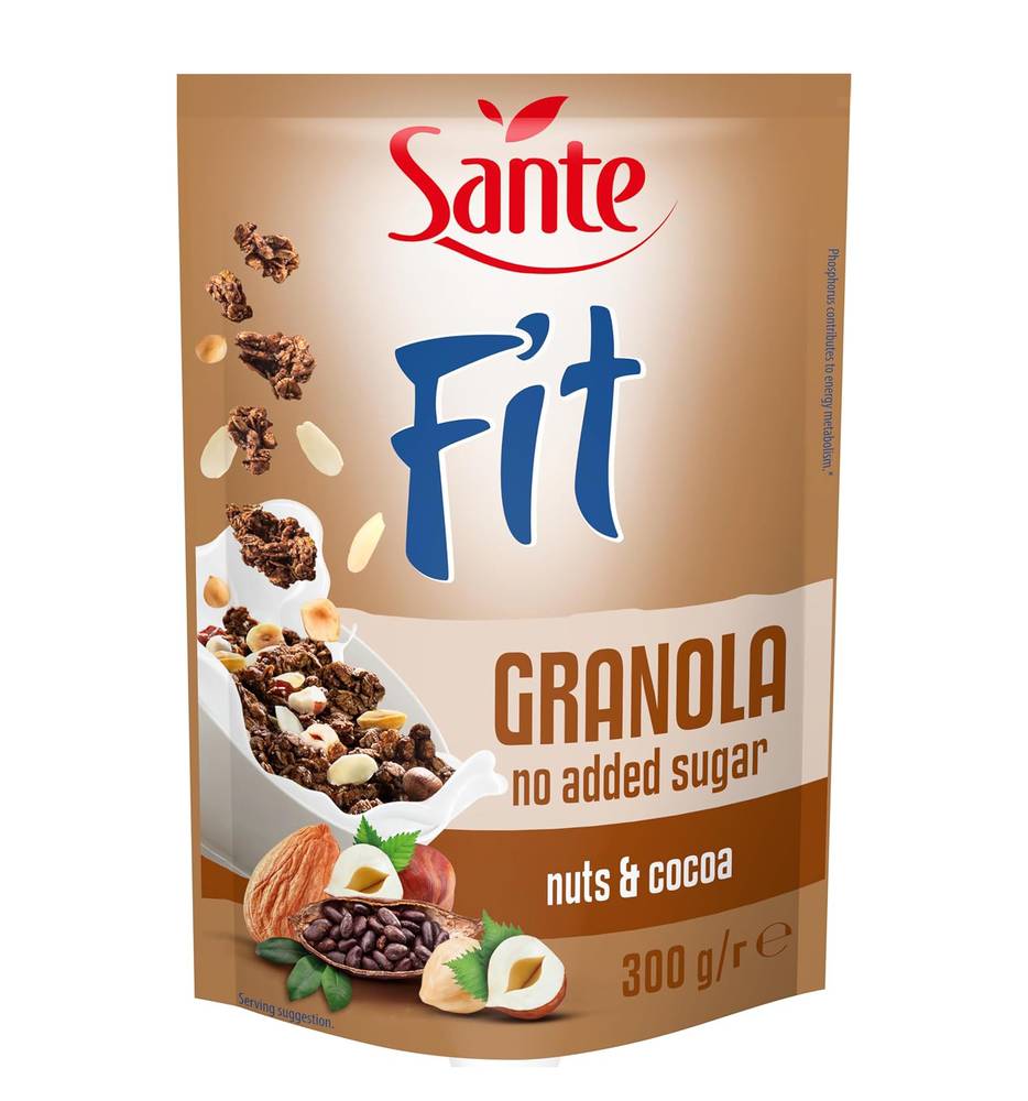 Sante - Fit Granola (300g)