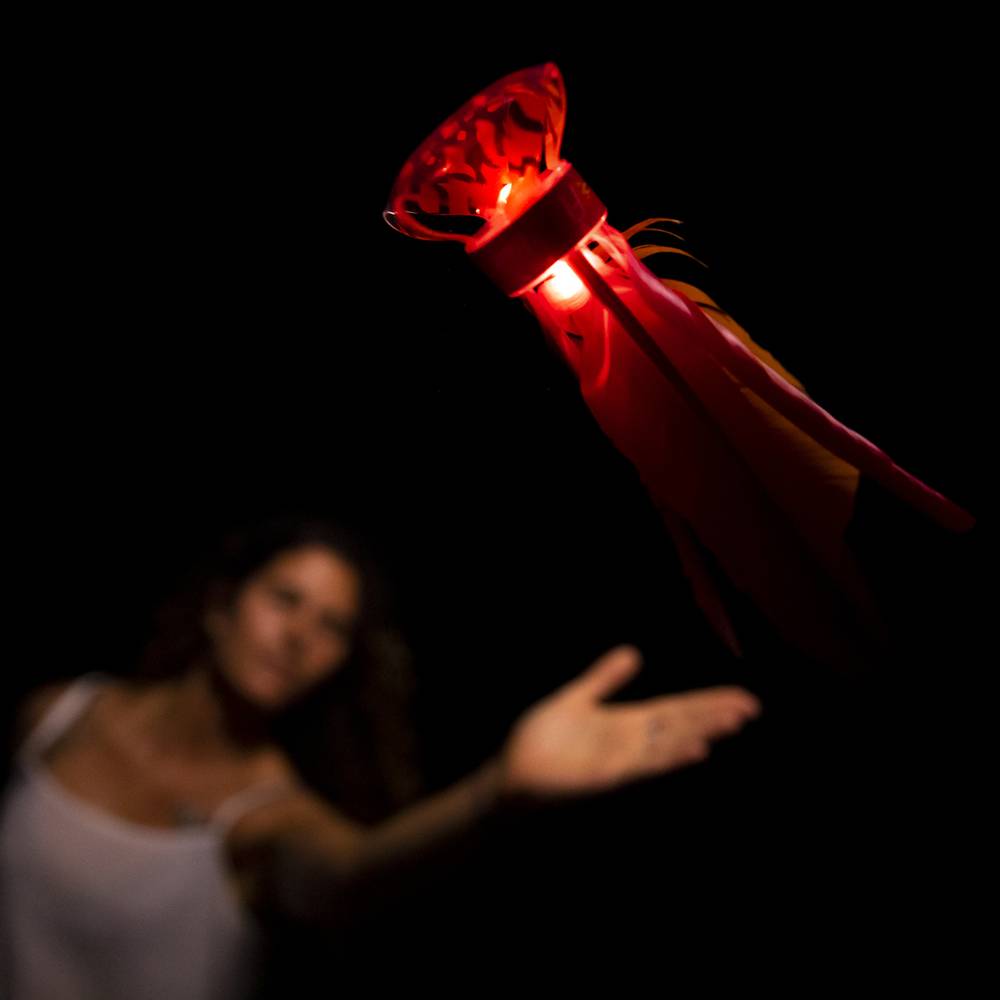 Waboba LED Flyer